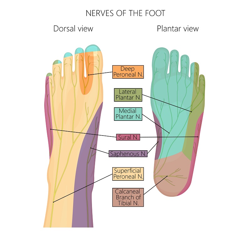 Plantar Fascia Institute of MN